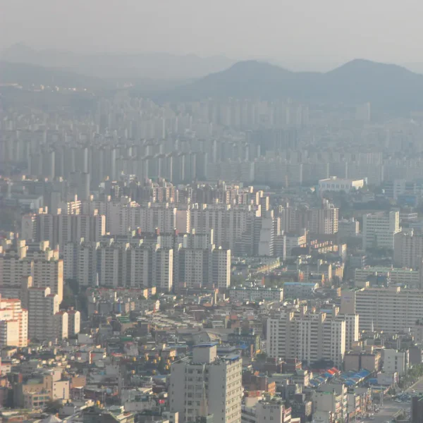스위트 리서테라스 테라피 대표 안내 이미지